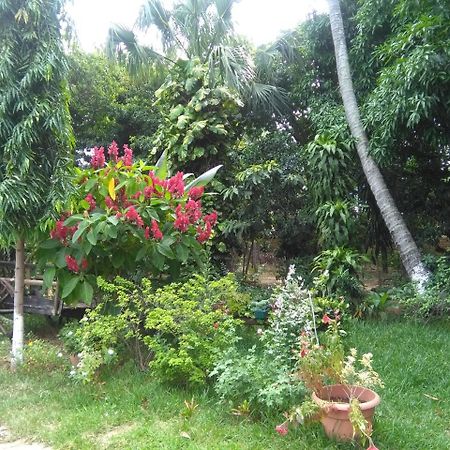 Chiquimula Hostal Casa Vieja מראה חיצוני תמונה
