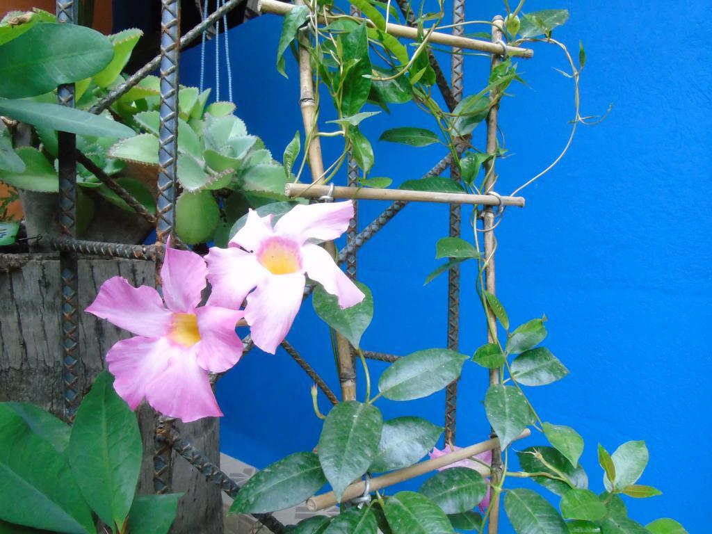 Chiquimula Hostal Casa Vieja מראה חיצוני תמונה