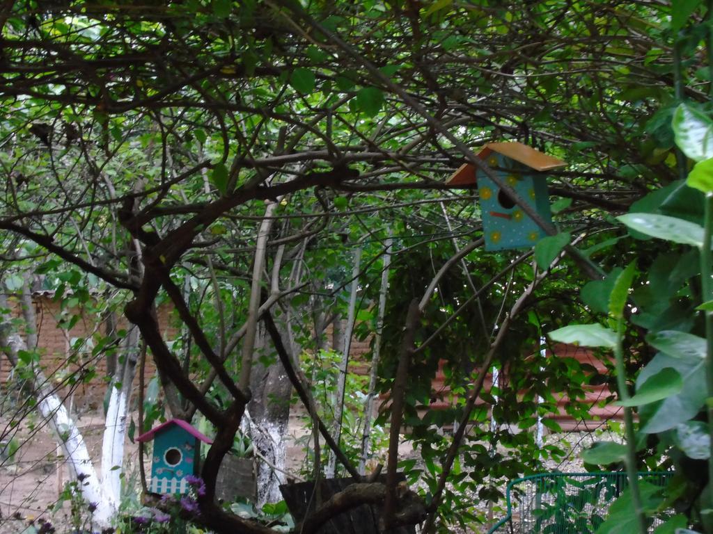Chiquimula Hostal Casa Vieja מראה חיצוני תמונה