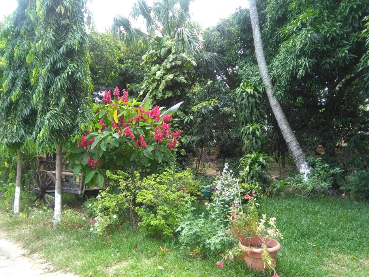 Chiquimula Hostal Casa Vieja מראה חיצוני תמונה